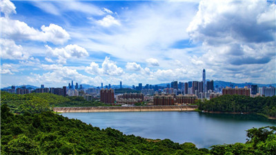 传统与现代相融，上海高档品茶引人入胜